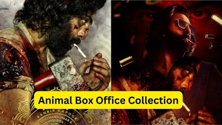 Animal movie Box Office Collection